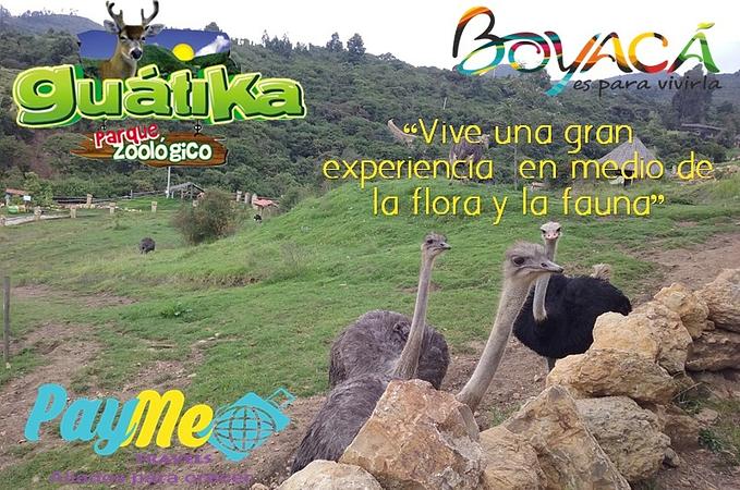 Pasadia Guatika Parque Zoologico